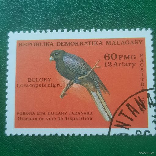 Мадагаскар 1987. Фауна. Coracopsis nigra. Марка из серии