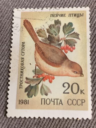 СССР 1981. Тростниковая сутора. Марка из серии