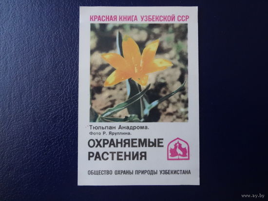 Календарик 1986 г.  Красная книга Уз.ССР.  Тюльпан Анадрома.