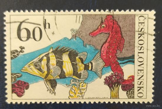 Чехословакия 1975