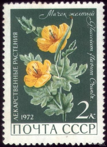 1 марка 1972 год Мачек жёлтый 4039