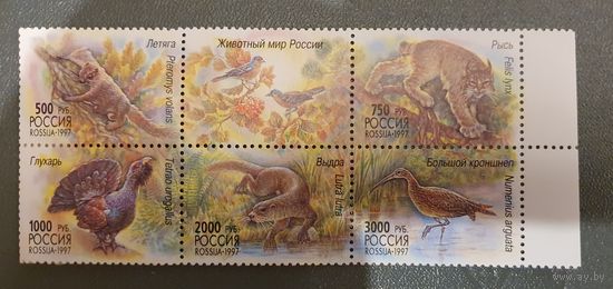 Россия животный мир