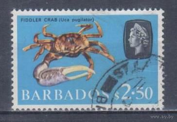 [645] Британские колонии. Барбадос 1965. Елизавета II.Морская фауна.Краб. Концовка серии.Гашеная марка.
