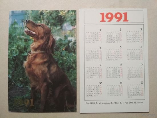 Карманный календарик. Собака. 1991 год