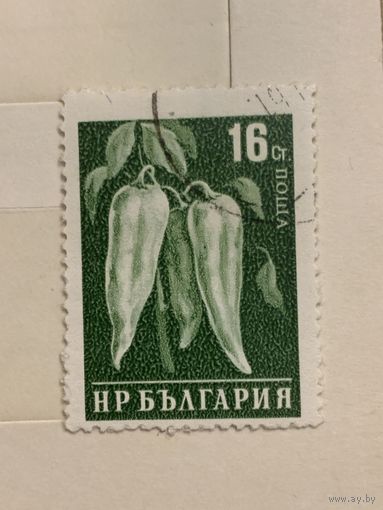 Болгария. Флора. Перец