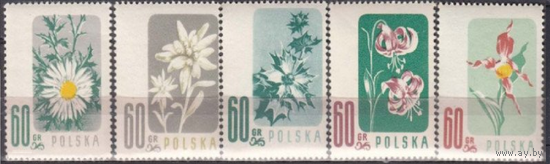 Польша 1957 флора, цветы 1020-4*