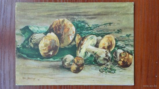Яковлев. Грибы. 1956