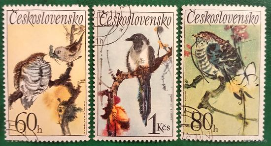 Чехословакии 1972. Фауна. Птицы. Полная серия