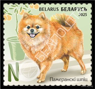 БЕЛАРУСЬ  2025  "Детская филателия. Домашние питомцы" MNH