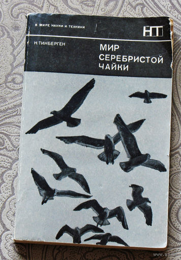Мир серебристой чайки.