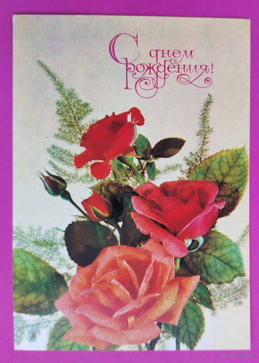 С Днём Рождения! Чистая. 1982 года. Дергилев. 2251.