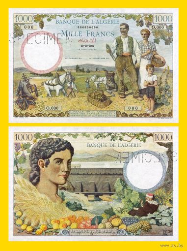 [КОПИЯ] Алжир 1000 франков 1942 г. Образец.