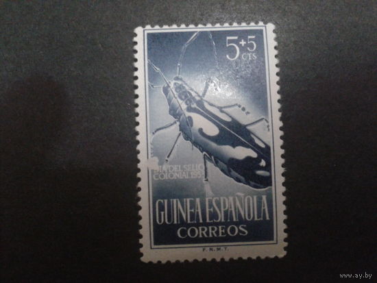 Гвинея 1953 колония Испании жук