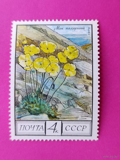 СССР. Флора СССР. ( 1 марка ) 1975 года. 5-12.