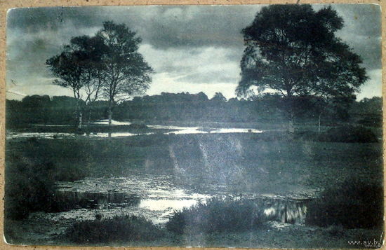 Ташкент 1908г
