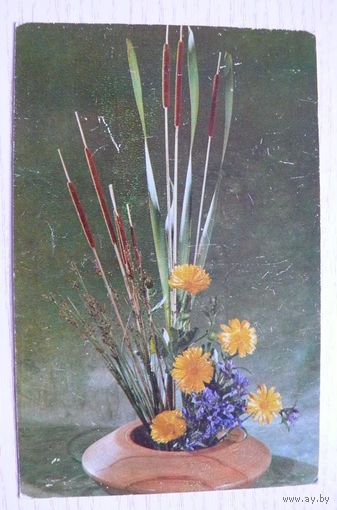 Тужиков В., Композиция из цветов; 1977, подписана (размер 9*14).