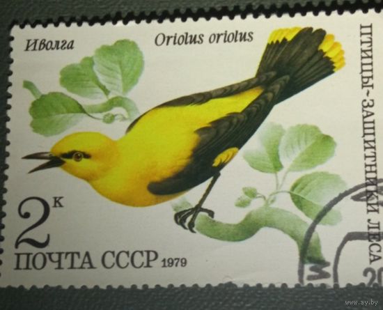Марка СССР. Птицы.1979