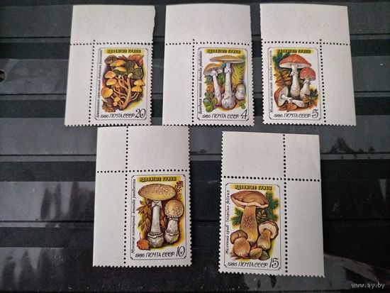 СССР.1986г.Ядовитые грибы.