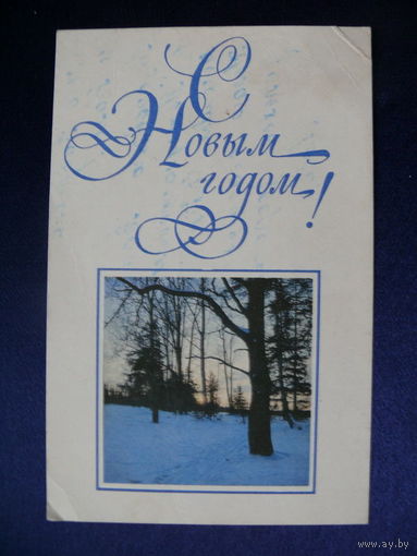 Фото Хоменко В., Художник Рыклин В., С Новым годом! 1967, подписана.