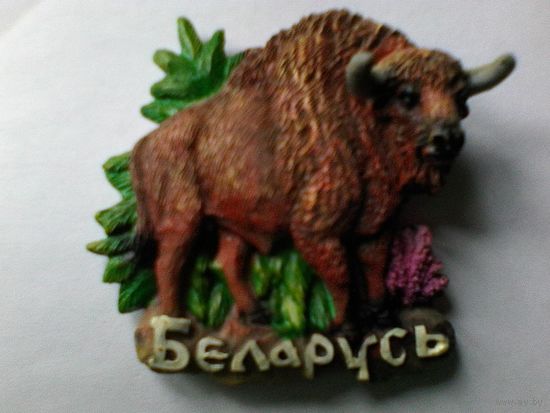 Магнит - "Зубр - Беларусь".