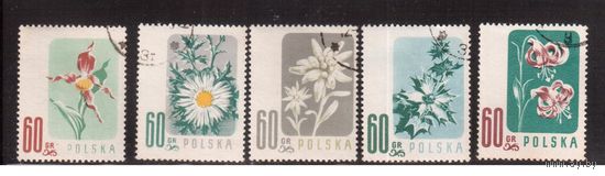 Польша- 1957,(Мих.1020-1024) гаш. , Флора, Цветы(полная серия)