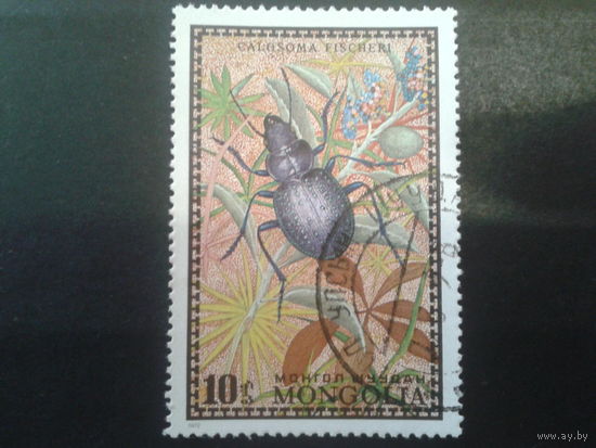 Монголия 1972 жук