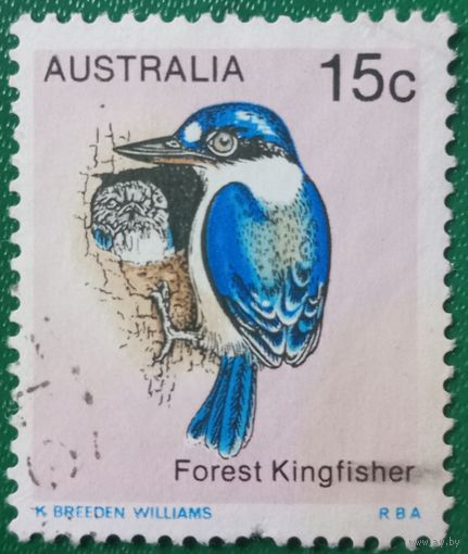 Австралия. Фауна. Kingfisher