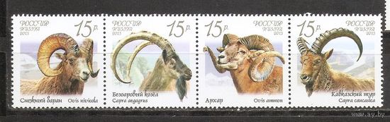 ФФ1 Россия 2013 Фауна