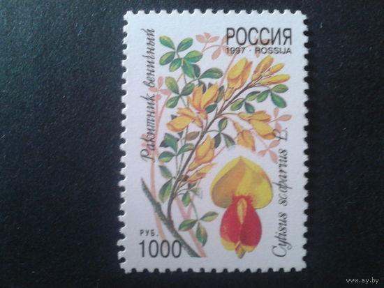 Россия 1997 цветы** Михель-1,6 евро
