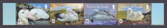 2013 Тристан-да-Кунья 1133-1136полоса WWF, Птицы 7,90 евро