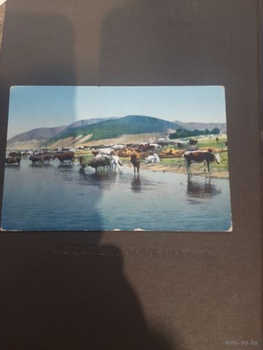 Открытка. На Волге в Жигулях, в селе Ширяево. Подписана