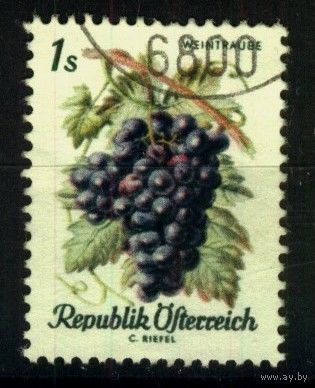 Австрия - 1966 [Mi. 1224] Гашеная (AT07)