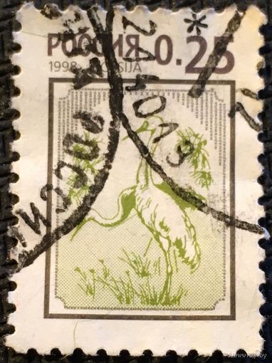 ЦІКАВІЦЬ АБМЕН! 1998, буслы, 25 кап