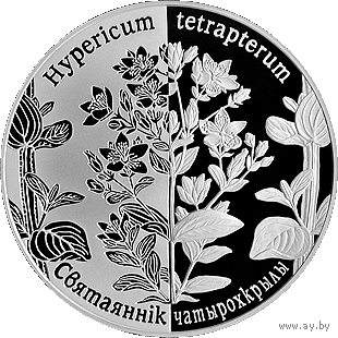 Зверобой четырехкрылый. Святаяннік чатырохкрылы. 1 рубль 2014 год. Тираж 2000 шт.