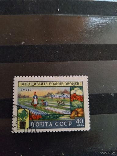 1954 СССР Загорский 1709 флора (сф-4)