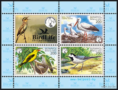Марка "Блок N 31 Птица года Беларуси (3х200)"