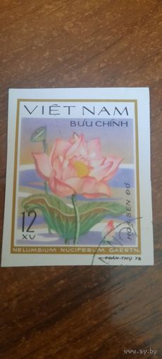 Вьетнам 1978. Цветы. Nelumbium Nuciferum.  Марка из серии