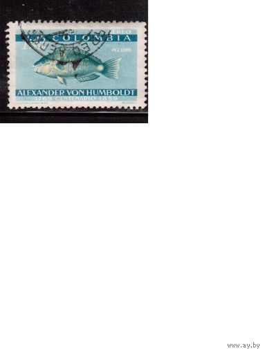 Колумбия-1960(Мих.906) , гаш. ,  Фауна, Рыбы