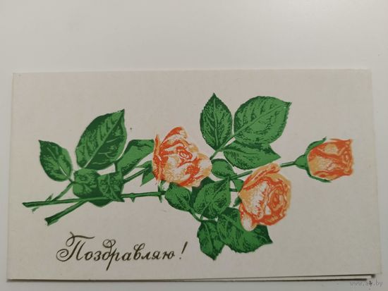 Пинская типография.