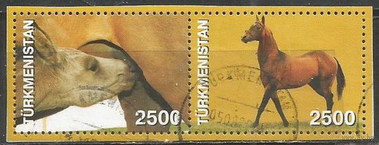 Туркменистан. Скакуны. 2005г. St#193-94. Сцепка.