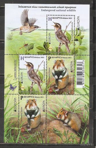 ФФ1 Беларусь 2021 Фауна
