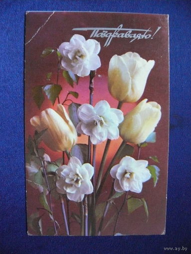 Фото Костенко Г., Поздравляю! 1976, подписана (2).