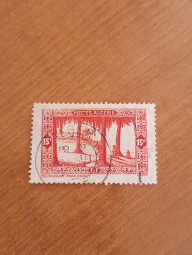 Французская колония Алжир флора (5-4)