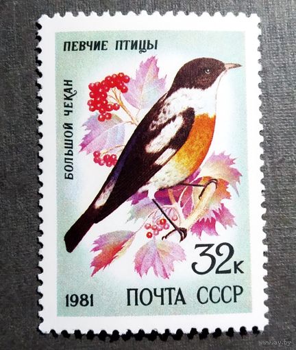 Марка СССР 1981 год Птицы