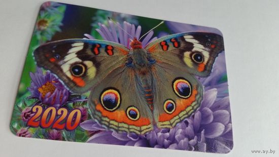 Календарик.Бабочка.2020
