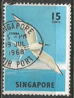 Сингапур. Птицы. Светлая крачка. 1966г. Mi#61.