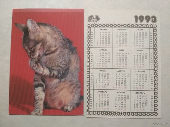 Карманный календарик. Котик.1993 год