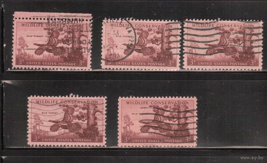 США-1956, (Мих.699), гаш. ,Фауна , Птицы, цена за 1 м на выбор