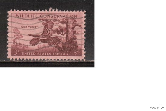 США-1956, (Мих.699), гаш. ,Фауна , Птицы,