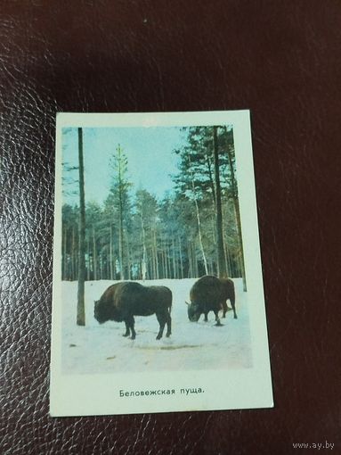 Календарь 1971 Беловежская пуща